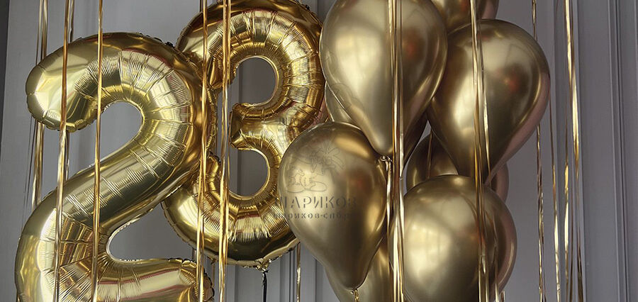 Воздушные шары на 23 февраля: что лучше заказать