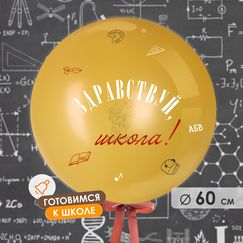 Шар 60 см 