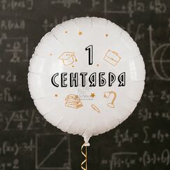 Фольгированный шар 45 см 