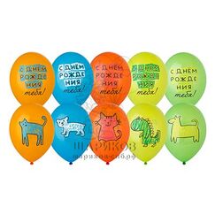 Шар с рисунком 