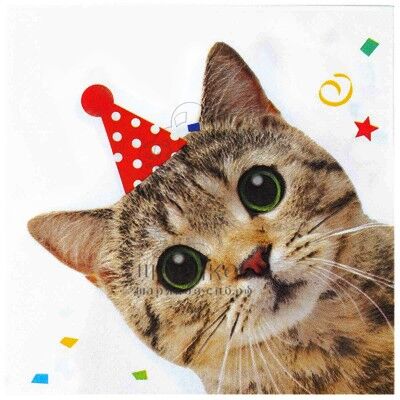Салфетка Котики фотографичные 33см
