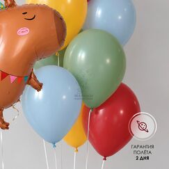 Набор шаров 