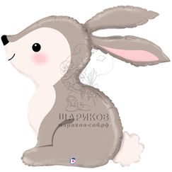 Фольгированный шар