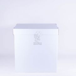 Коробка пустая 60*76*80 см (Белая)