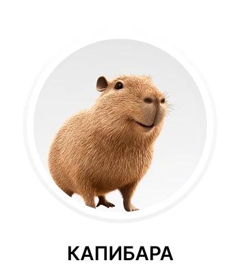 Капибара